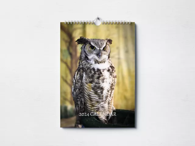 Owl Calendar 2024 | Monthly Wall Calendar, A4 | Hanging Calendar