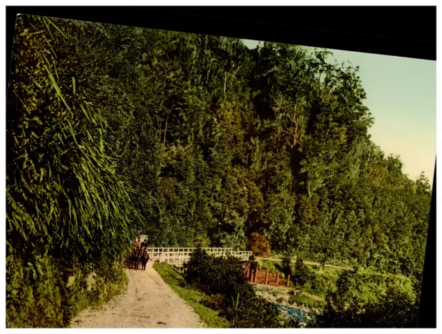 New Zealand, Otira Gorge, In Otira Gorge  Vintage photochrome,  photochromie,