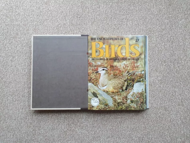 "Birds Of Marsh And Shore" 13 Magazines In Binder Encyclopedia Of Birds