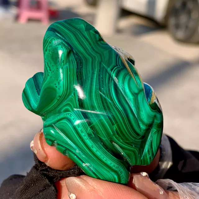 84GRare Natural Malachite Quartz Handcarved Frog