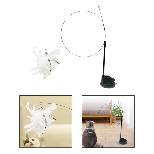 Chat plume jouet interactif chat jouets gratter chat Teaser formation chaton