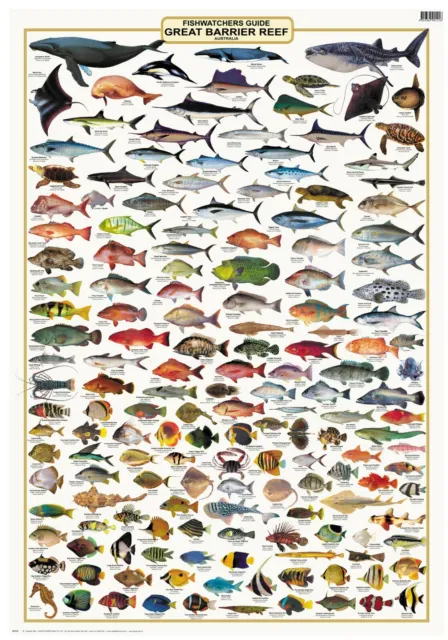Australian Fish Identification- Great Barrier Reef - LAMINATED CAMTAS WALL CHART