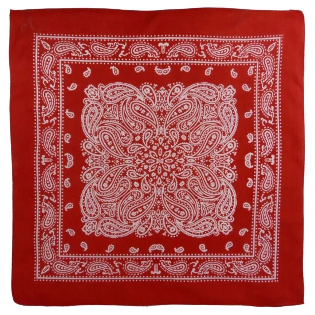 XL Montana Paisley Bandana weich leicht Baumwolle extra große Mundabdeckung 2