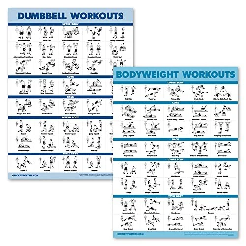 2 Pack Dumbbell Workouts and Bodyweight Exercise Poster Set -...