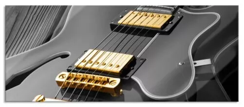Elegante Guitarra Eléctrica Panorama Imagen, Incl. Soporte Pared
