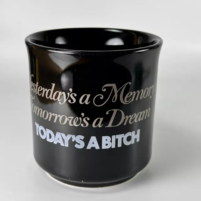 Today's A Bitch Ceramic Coffee Tea Cup Mug Souvenir Gift Collectible
