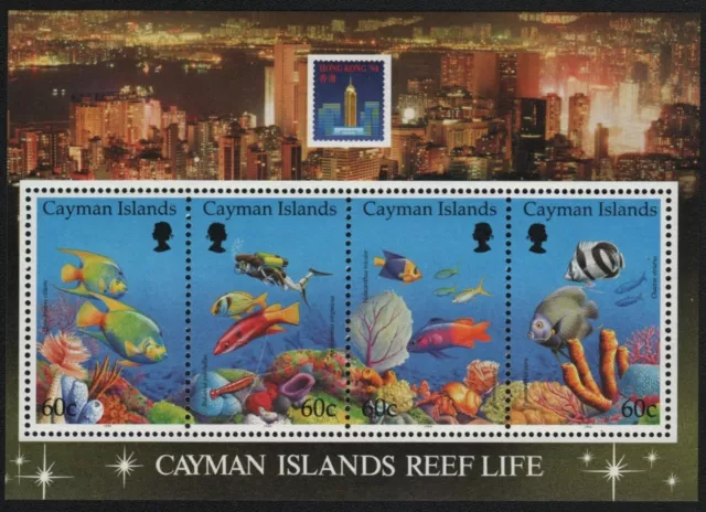 Kaiman-Inseln 1994 - Mi-Nr. Block 18 ** - MNH - Fische / Fish