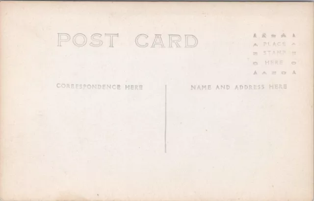 RPPC Coldwater MI Street Scene Southern Michigan Hotel & Park Monument 1910s 2
