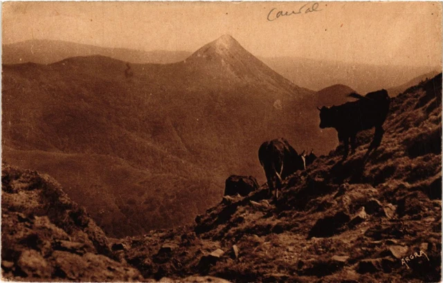 CPA Le Puy-Griou - Seen from the Flanks of the PUY-MARY - Cantal (480157)