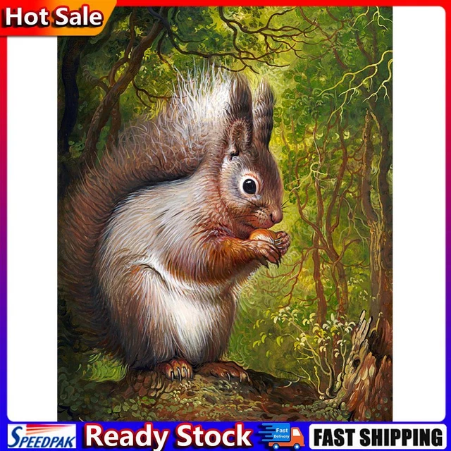 KIT RICAMO PUNTO Croce Punto Croce Trapano Rotondo Completo Pittura