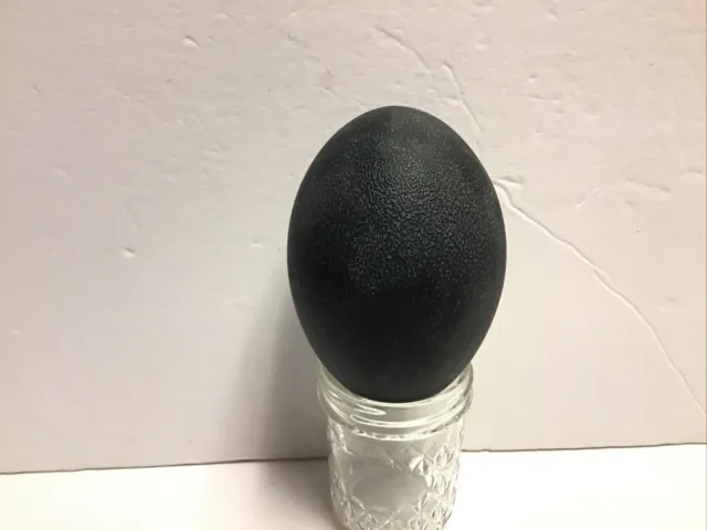 Cáscara de huevo de emú soplado para artesanía