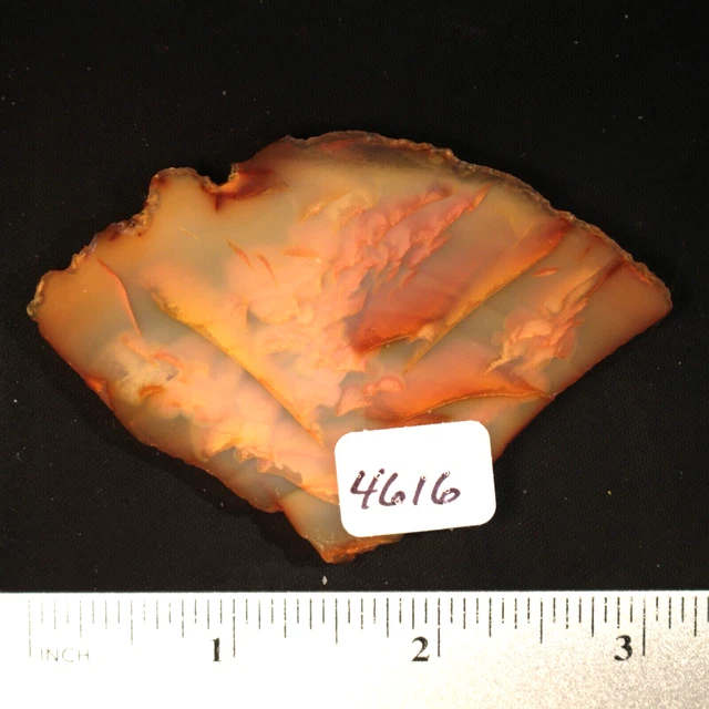Carnelian Agate Lapidary Rock Slab #4616