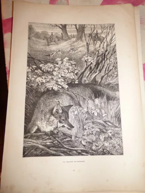 1886 engraving the fox hunt (anonymous)