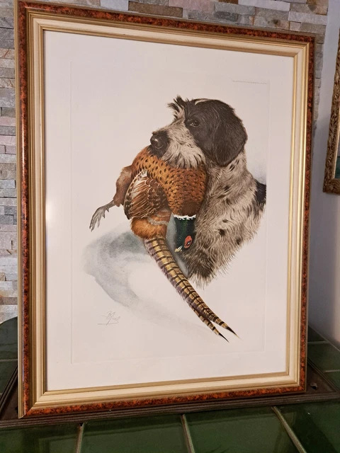 Grande lithographie Chiens De Chasse Par Boris Riab ,signée et numérotée.