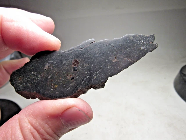 Great Offerta! Vecchio Trovare! L5 Chondrite! Sensational Ghubara Meteorite