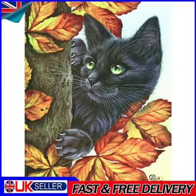 5D Diamond Painting Black Cat Full Round Drill DIY Wall Art Craft (A5100) UK
