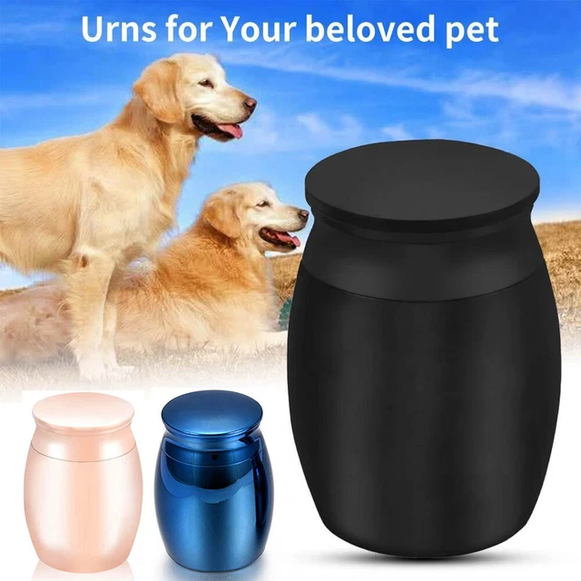 Small Cremation Urn Jar Holder Keepsake for Human Pet Ashes Memorial Funeral Box