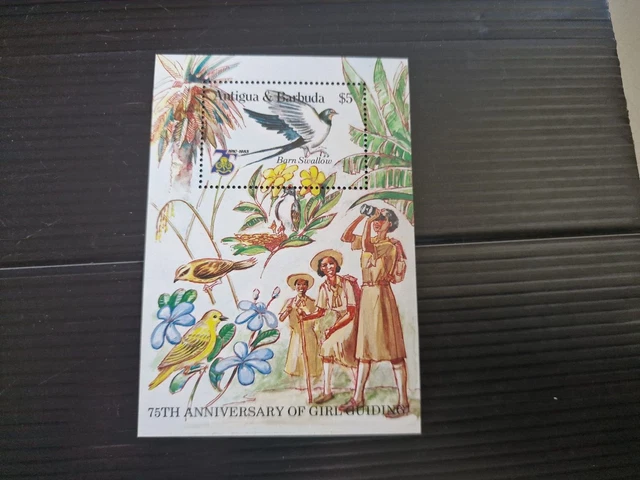 Antigua And Barbuda 1985 Sg Ms959 75Th Anniv Of Girl Guides Mnh