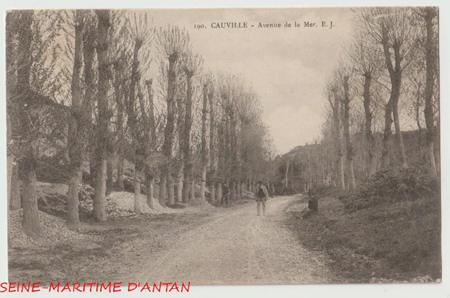 CPA 76 - Avenue de la Mer (Cauville) Postcard