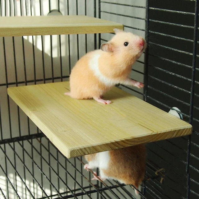 Wooden Cockatiel Parrot Bird Cage Perches Stand Platform X1D8 Toy Hanging G8P8