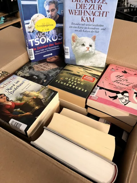 25 Romane Bücher Paket Sammlung Konvolut Taschenbuch gebunden Posten 3