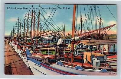 Tarpon Springs FL, Sponge Fleet In Harbor, Florida Vintage Postcard