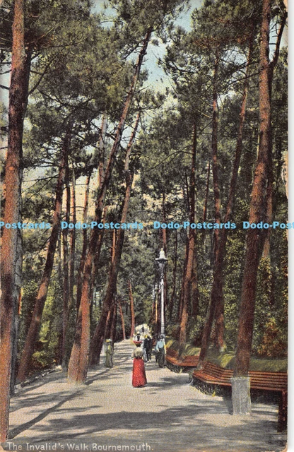 R187524 The Invalids Walk. Bournemouth. J. E. Beale. 1908