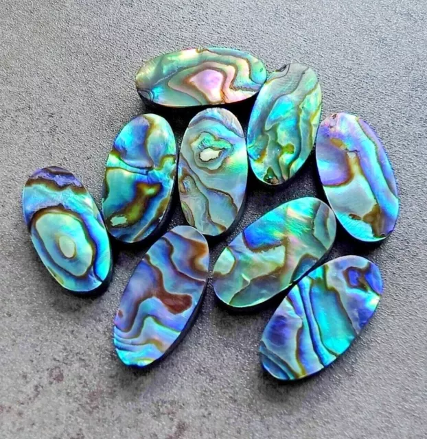 Natural Abalone Shel Big Oval Shape Cabochon Calibrated Loose Gemstones All Size