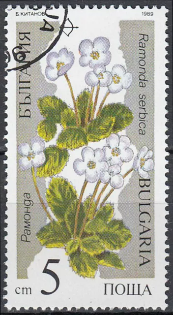 Bulgarien gestempelt Blume Flora Pflanze Serbischer Felsenteller Serbien / 439