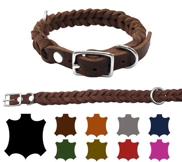 Lederhalsband Rainbow Für Hunde – Extra Breit, In M, L, XL, Mit Bunter Zierkette