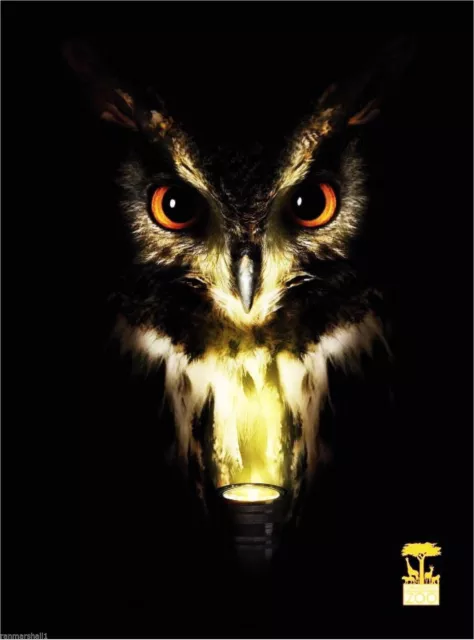 94544 San Francisco Zoo Owl Bird Wild Animal United Wall Print Poster Plakat