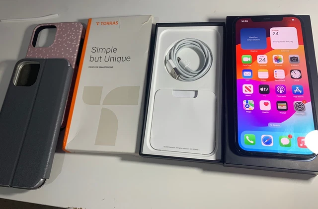 Apple iPhone 12 Pro Max - 256GB - Pacific Blue (Unlocked) MINT Condition (SJ706)