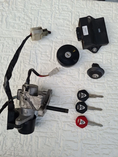 Set Cordini Per Arco Compound Mathews, Firma Mimetica SMB, Corda Endless Completa - Foto 5