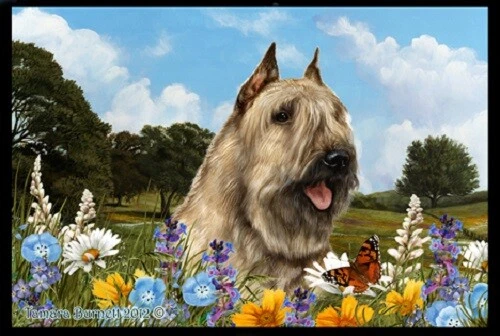 Summer Floor Mat - Fawn Bouvier des Flandres 39402