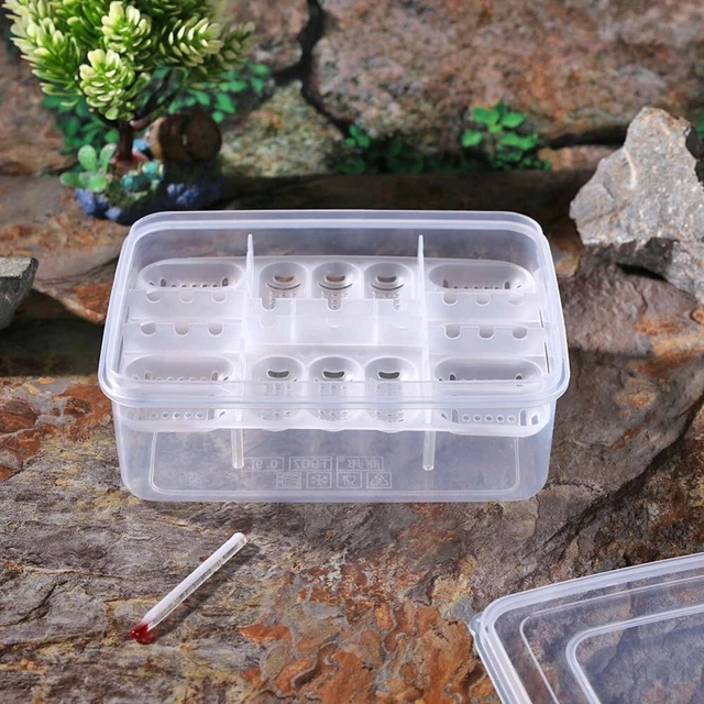 Incubation Tool Reptile Incubator Egg Hatcher Box Amphibians Hatcher Tray