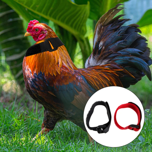 4 Pcs Nylon Collier De Coq Pour Arrêter Chant Du