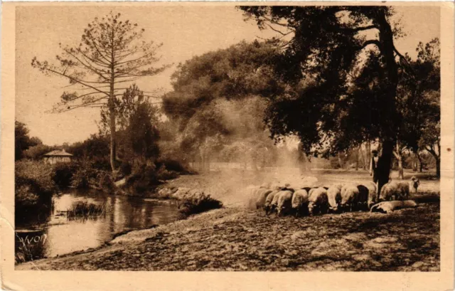 CPA Les Landes de Gascogne FRANCE FOLKLORE (789239)