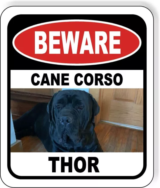 BEWARE CANE CORSO THOR GUARD DOG Metal Aluminum Composite Sign