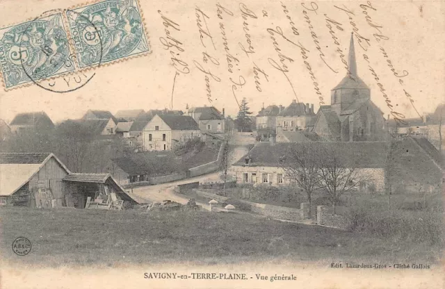 SAVIGNY-en-TERRE-PLAINE - Vue générale