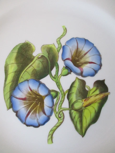 Royal Worcester Hand-Painted Porcelain 9-1/4" Luncheon Plate - Convolvulus