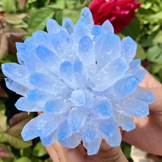 1.2LB New Find Blue Phantom Quartz Crystal Cluster Mineral Specimen Healing-Y