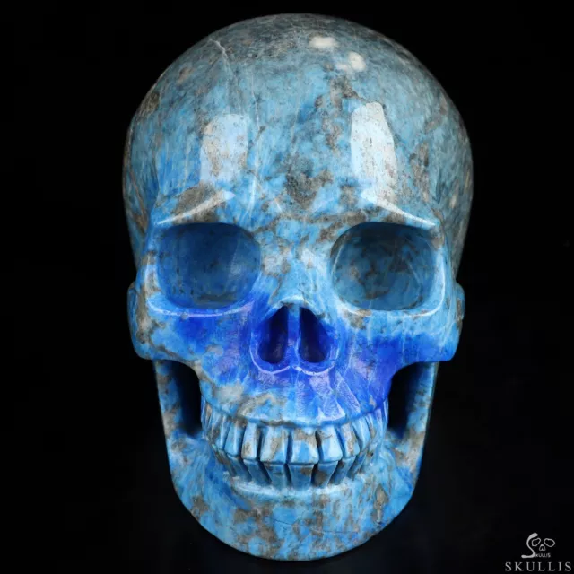 Gemstone 5.0" Lapis Lazuli Hand Carved Crystal Skull, Realistic, Crystal Healing