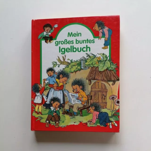 🍀Mein großes buntes Igelbuch/Sonderausgabe/eine Abenteuergeschichte /Rarität