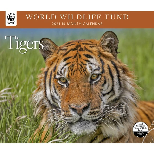 CALENDAR INK, Tigers WWF 2025 Wall Calendar EUR 15,68 PicClick FR