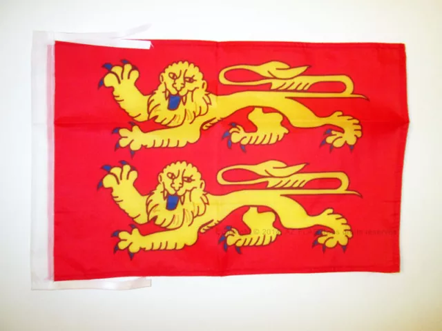 DRAPEAU BASSE-NORMANDIE 45x30cm - PAVILLON BAS-NORMAND - FRANCE 30 x 45 cm haute