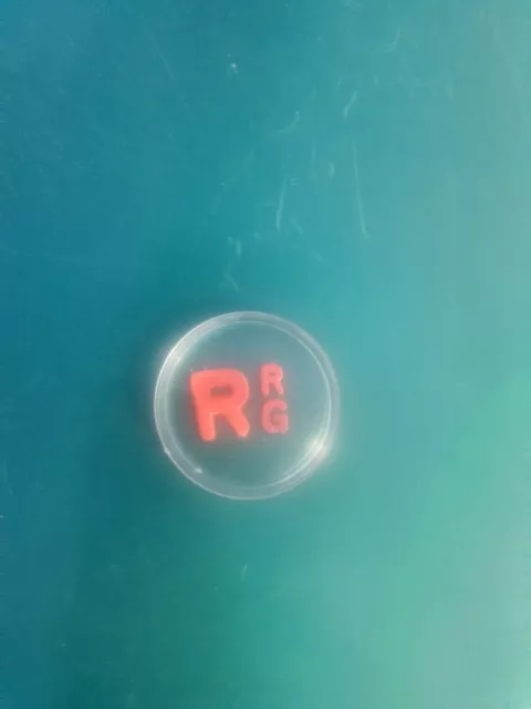 Xray Markers Initials RG Ready!