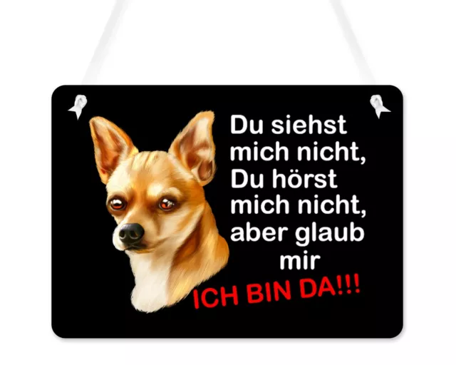 Warnschild Türschild Schild Eingangsschild Chihuahua Spruch Hund Wetterfest