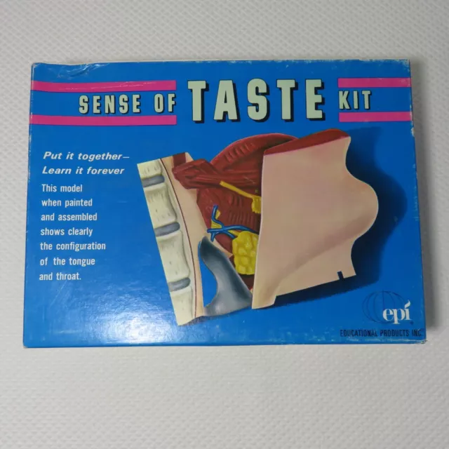 1970's Educational Products Sense Of Taste Model Kit Teaching Medical Anatomy