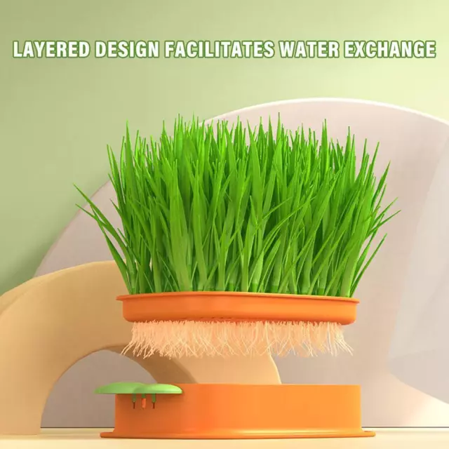 Cat Grass Planting Box Plant Growing Kit Hydroponic Grass Soil-Free Planter R9Z6