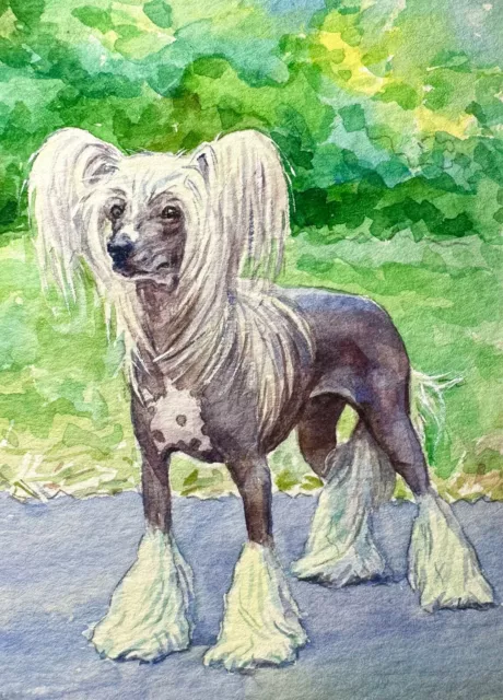 Watercolor Painting Chinese Crested Dog Puppy Pet Art No.358